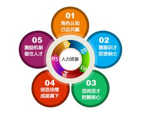 非人资经理的人力资源管理 从执行到协同的智慧